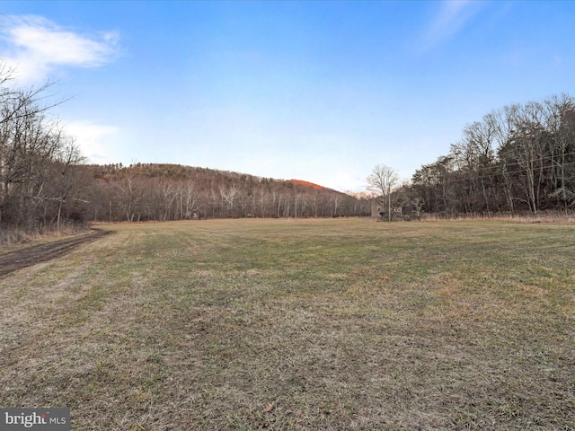 view of yard with a rural view