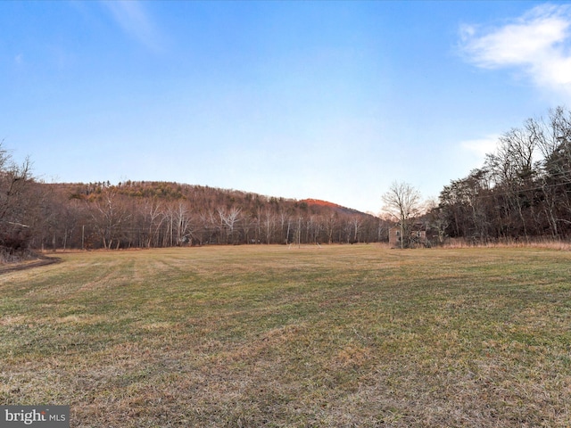 view of yard featuring a rural view