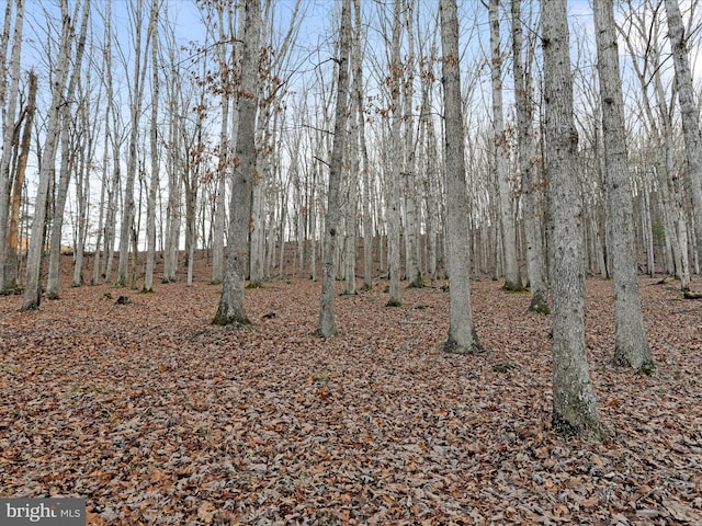 view of landscape