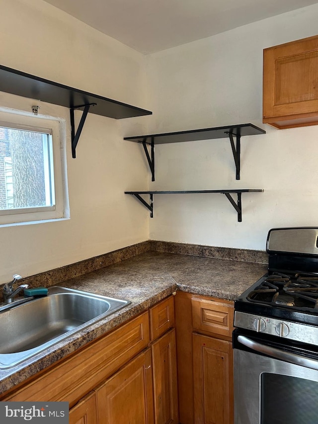 kitchen featuring stainless steel gas stove and sink