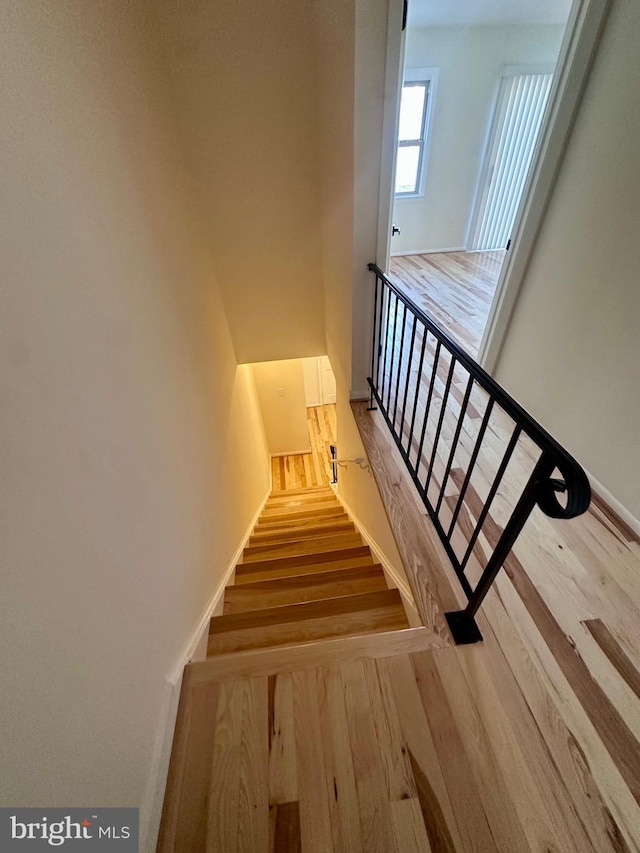 stairway featuring wood-type flooring