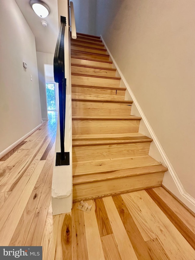 staircase with wood-type flooring