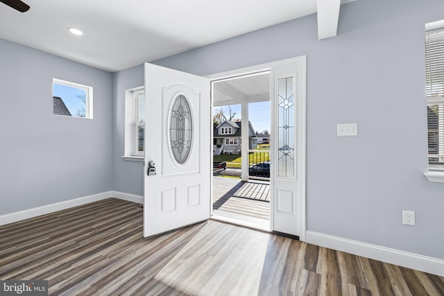 foyer with dark hardwood / wood-style flooring and a healthy amount of sunlight