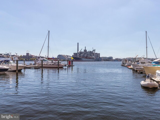 property view of water with a dock