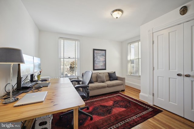 office with light hardwood / wood-style floors