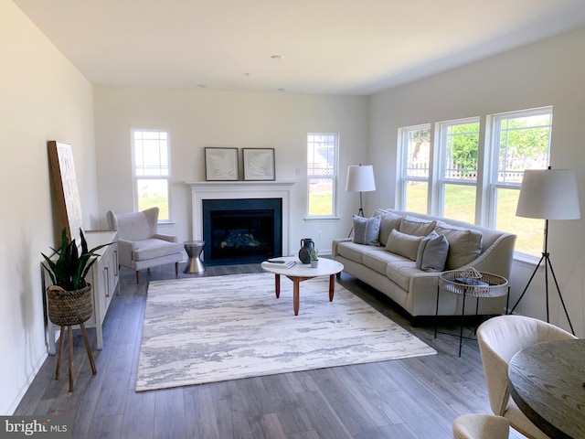 living room featuring hardwood / wood-style floors and a wealth of natural light