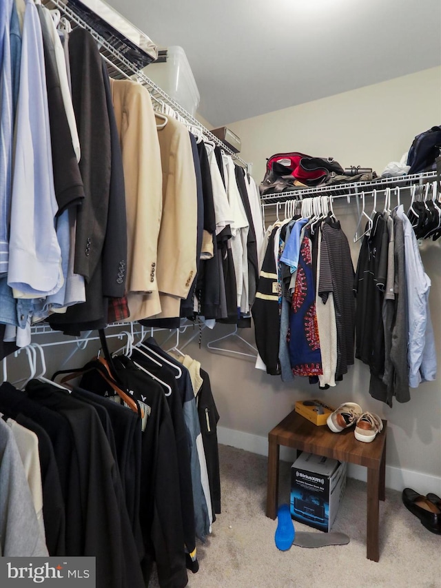 spacious closet featuring carpet flooring