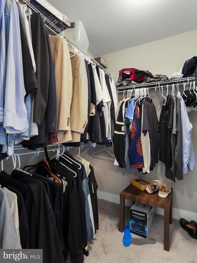 1150 Lewisville Rd, Berryville, VA 22611 - walk in closet with carpet