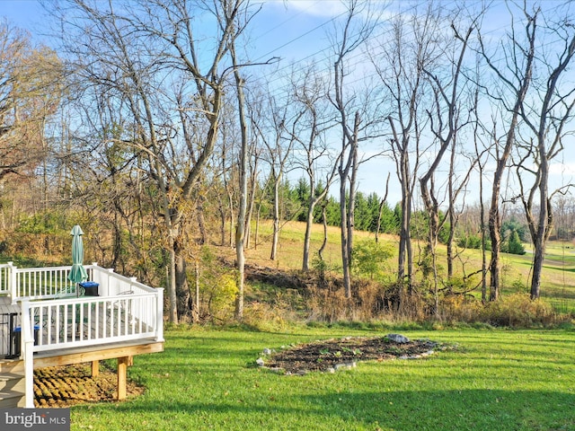 view of yard featuring a deck