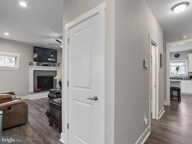 hall with a wealth of natural light and dark hardwood / wood-style flooring