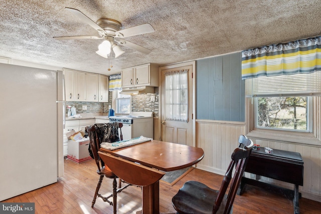 dining area with wood walls, plenty of natural light, and light hardwood / wood-style floors