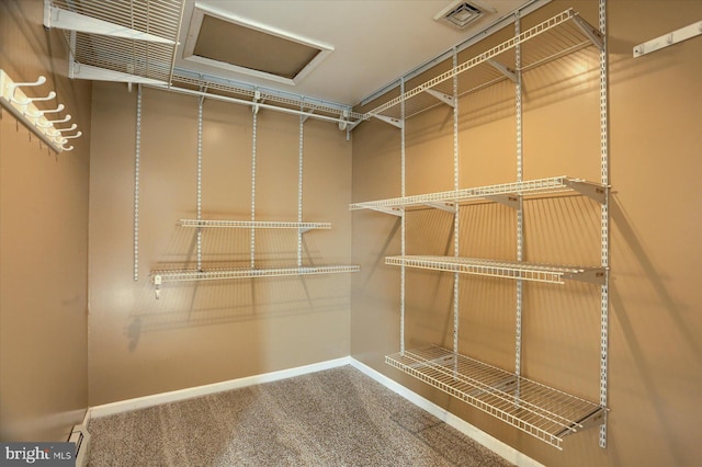 spacious closet featuring carpet