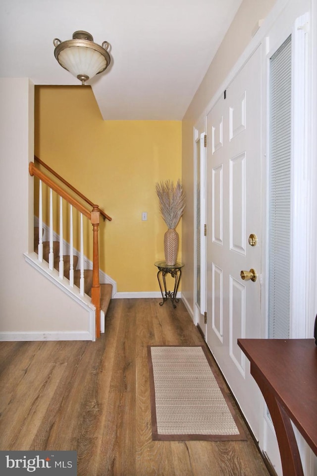 entrance foyer featuring dark wood-type flooring