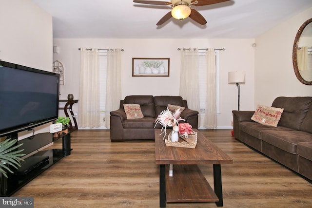 living room featuring ceiling fan and dark hardwood / wood-style floors