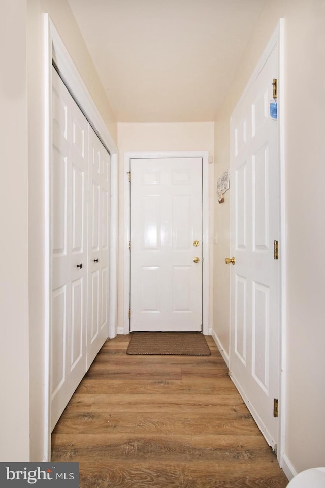 doorway featuring wood-type flooring