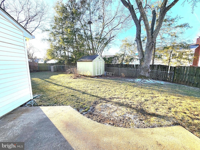 view of yard with a patio area and a storage shed