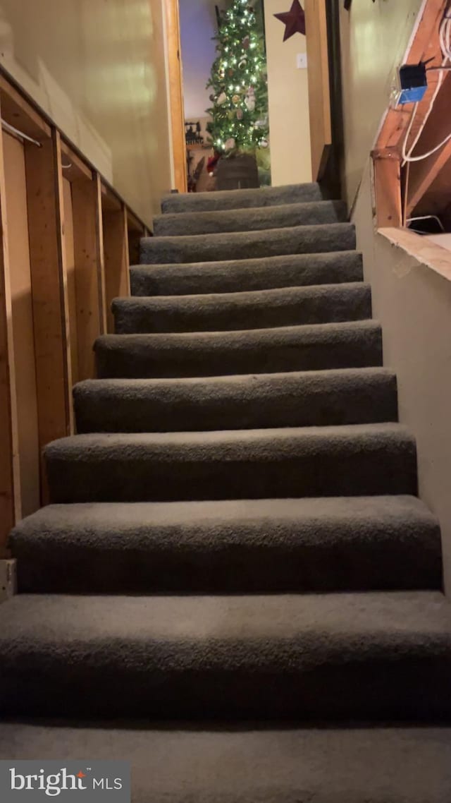 560 Frosty Hollow Rd, Fisher, WV 26818 - view of stairs