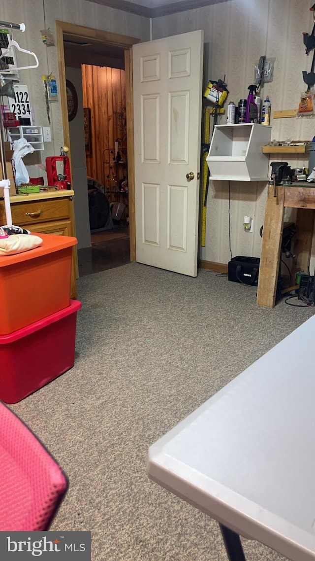 560 Frosty Hollow Rd, Fisher, WV 26818 - below grade area with carpet flooring