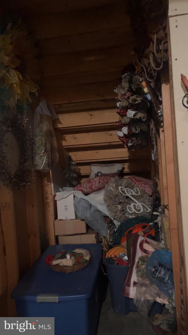 560 Frosty Hollow Rd, Fisher, WV 26818 - view of storage