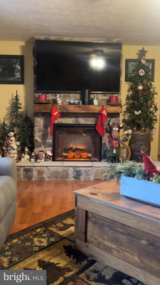 560 Frosty Hollow Rd, Fisher, WV 26818 - living room with a fireplace and wood finished floors