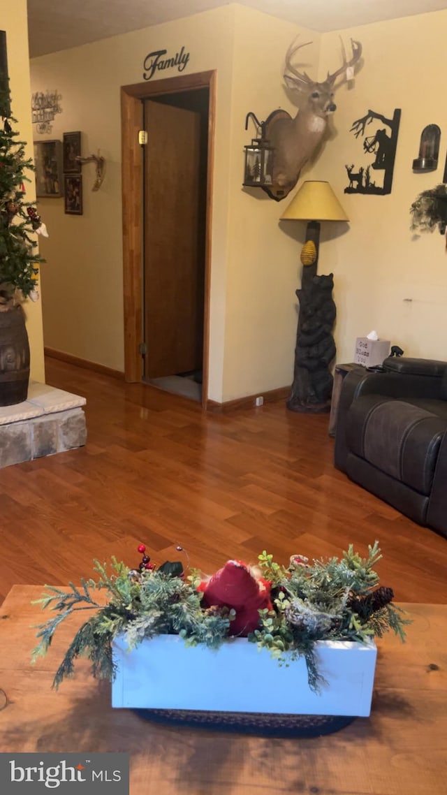 living room with hardwood / wood-style flooring