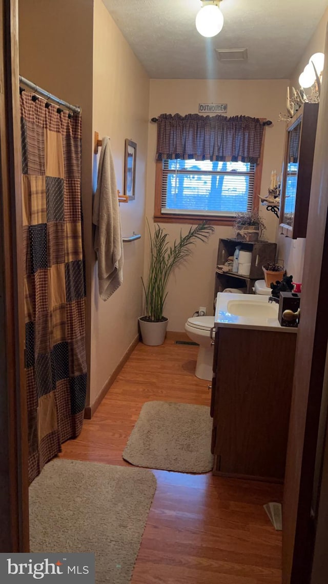 560 Frosty Hollow Rd, Fisher, WV 26818 - bathroom featuring vanity, toilet, wood finished floors, a shower with curtain, and baseboards