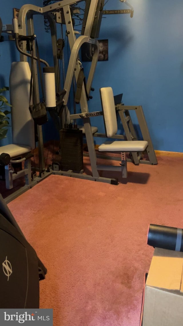 exercise area with carpet