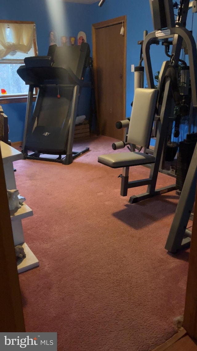 560 Frosty Hollow Rd, Fisher, WV 26818 - workout area featuring carpet flooring