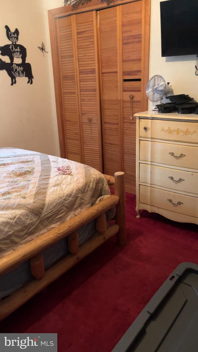 bedroom with a closet and carpet floors