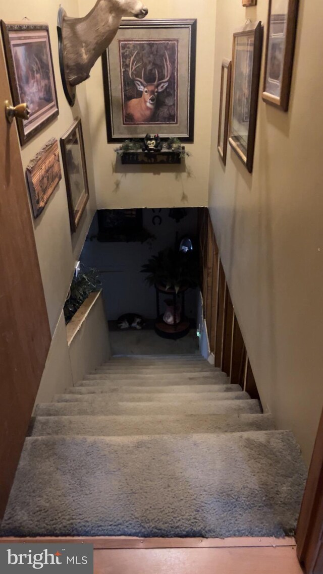 560 Frosty Hollow Rd, Fisher, WV 26818 - view of staircase