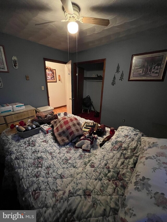 560 Frosty Hollow Rd, Fisher, WV 26818 - bedroom with a closet and a ceiling fan