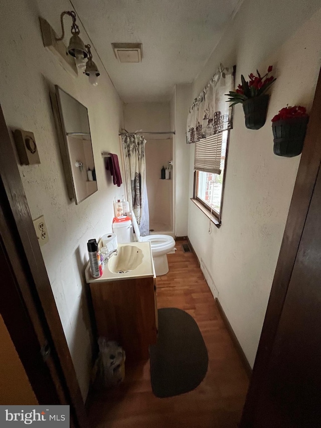 560 Frosty Hollow Rd, Fisher, WV 26818 - bathroom with vanity, wood finished floors, a shower with curtain, and toilet