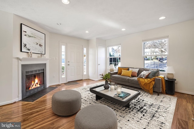 living room with hardwood / wood-style floors