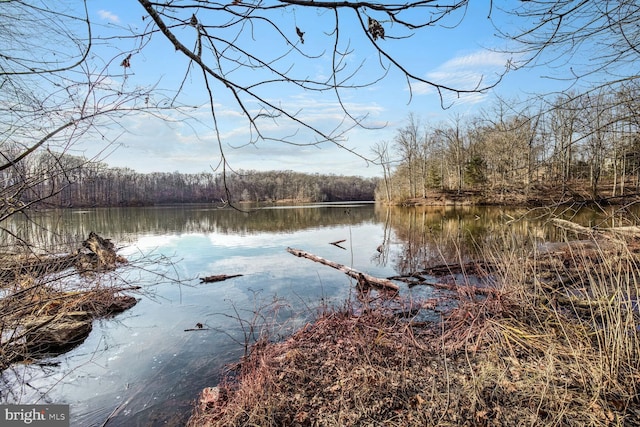 property view of water