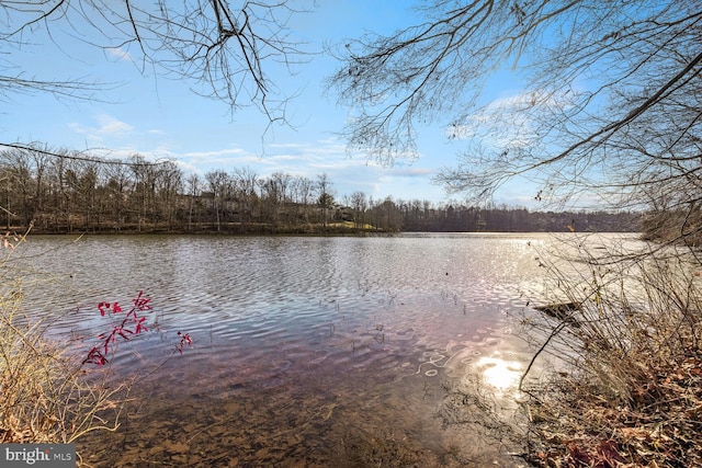 property view of water