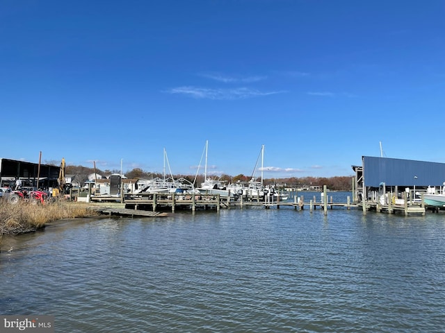 dock area with a water view