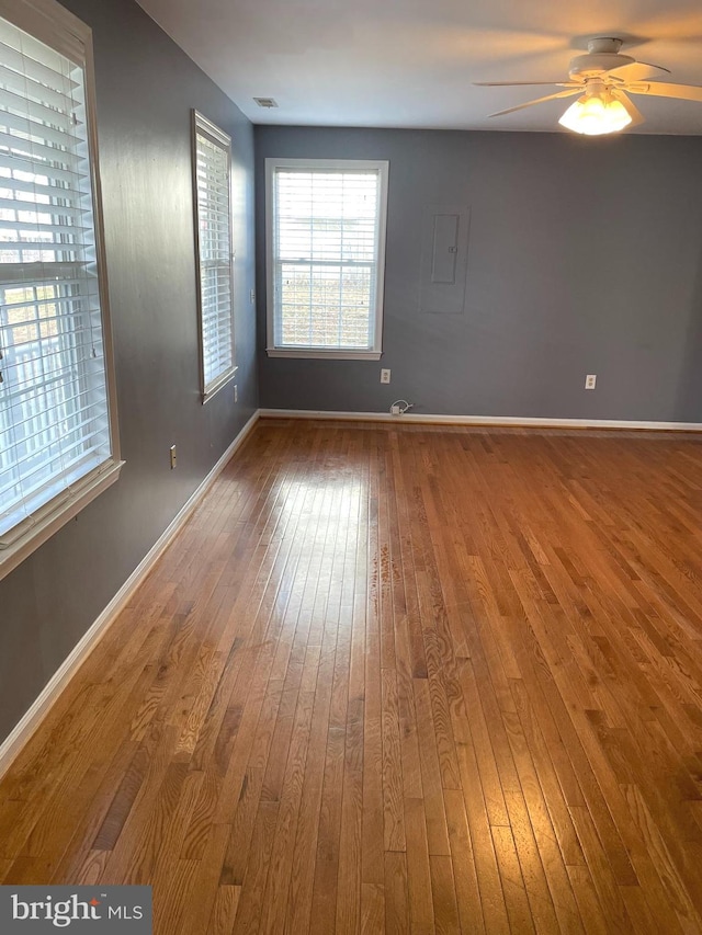 spare room featuring hardwood / wood-style floors and ceiling fan