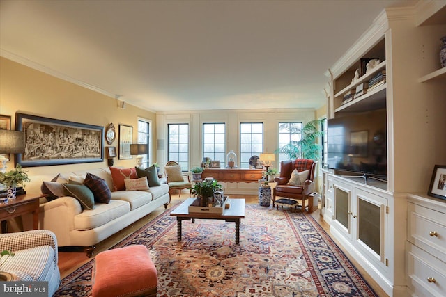 living room featuring crown molding and light hardwood / wood-style flooring