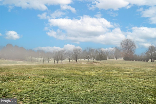 view of yard with a rural view