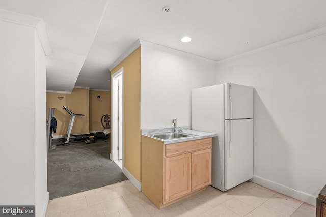 kitchen with a sink, baseboards, light countertops, freestanding refrigerator, and crown molding