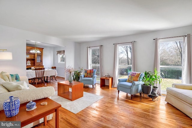 living room featuring hardwood / wood-style floors and an inviting chandelier