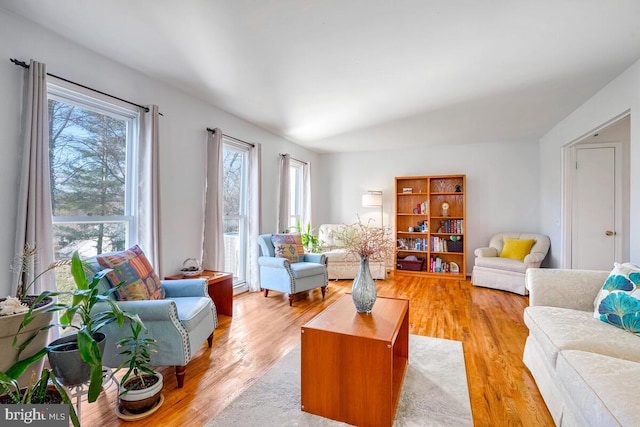 living room featuring light hardwood / wood-style flooring