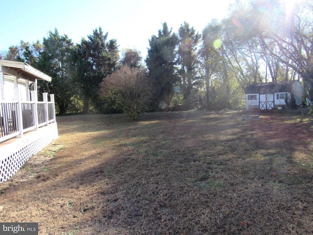 view of yard featuring a storage shed