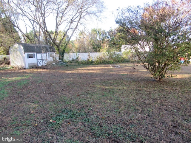 view of yard with a storage shed