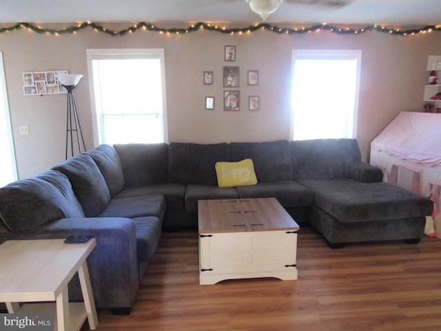 living room with dark wood-type flooring