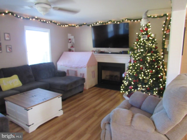 living room with hardwood / wood-style floors and ceiling fan