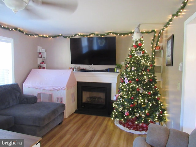 living room with hardwood / wood-style flooring