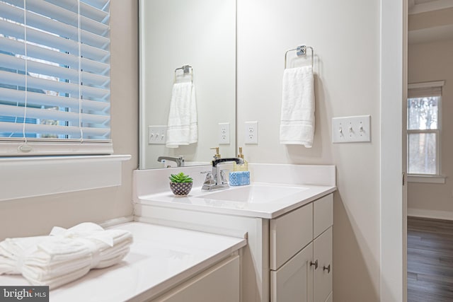 bathroom with vanity and wood-type flooring