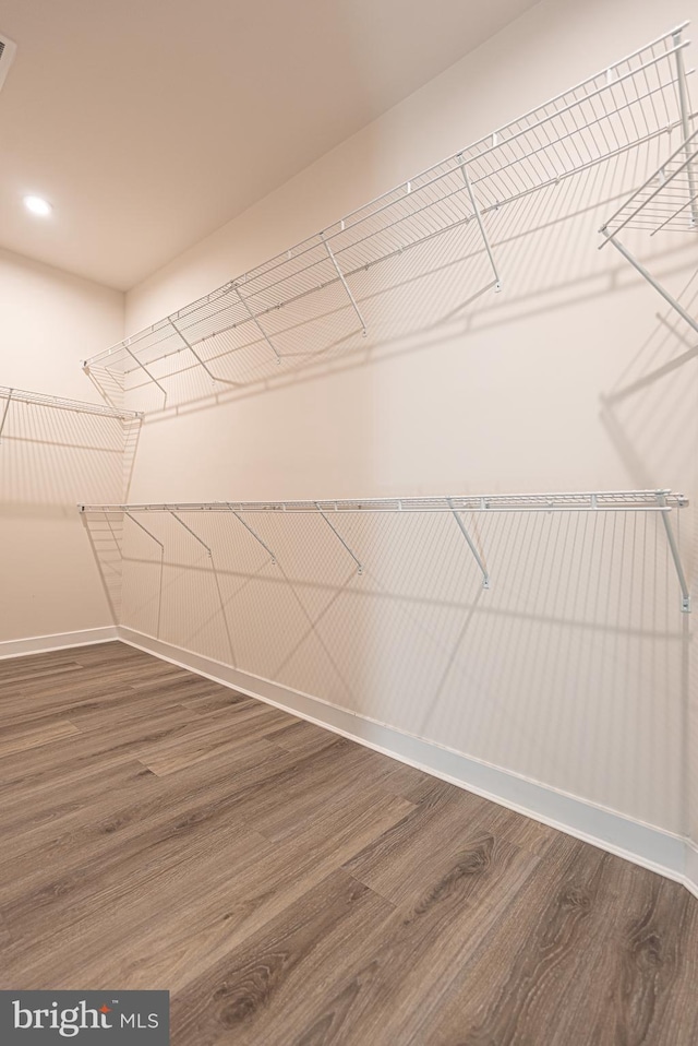 spacious closet featuring dark hardwood / wood-style flooring