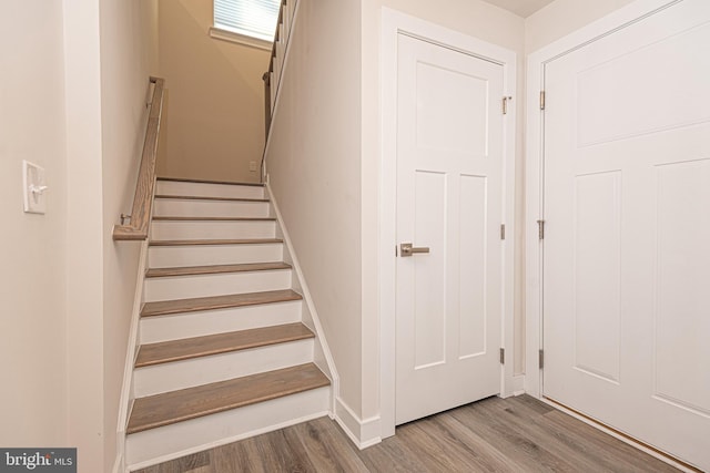 staircase with wood-type flooring